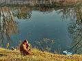 adda (38)